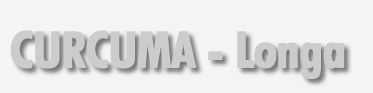 Curcuma 